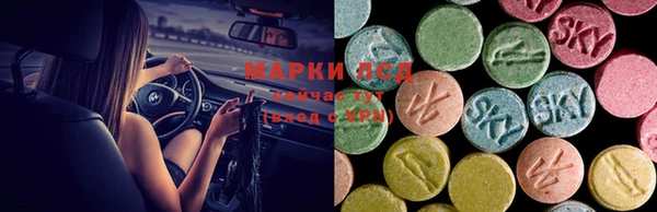 ALPHA PVP Белокуриха