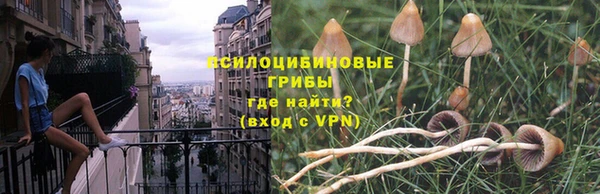 прущие грибы Балахна