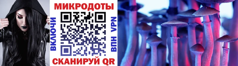 Псилоцибиновые грибы Psilocybe  ссылка на мегу   Великие Луки 